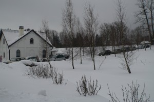 DSC05477