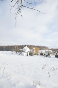 MAW_5502