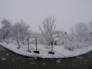 P1010029