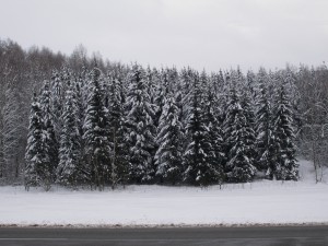 P1120080