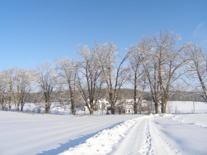 P1150212
