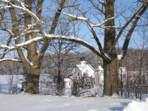 P1150231