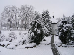 P1010166