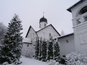 P1010173