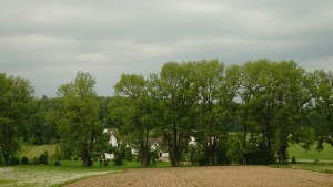 DSC06468