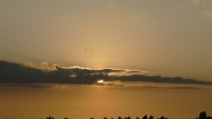 DSC06472