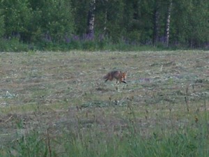 P3010008