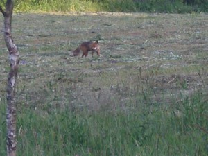 P3010010