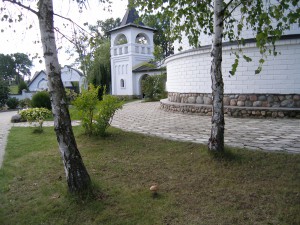 P9050036  