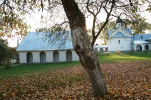IMG_7301