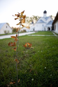 IMG_7325