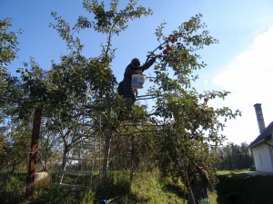 P7010080
