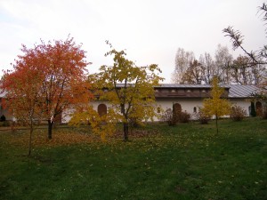 P1010066