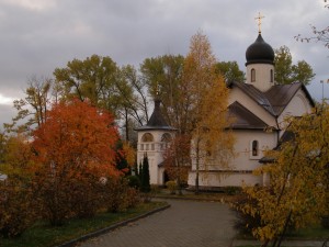P1010075