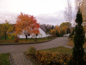 P1010079