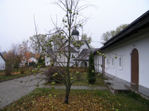 P1010104