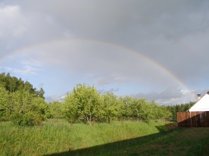 P6010061