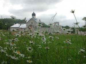 DSCN2536