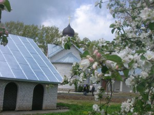 DSCN3070