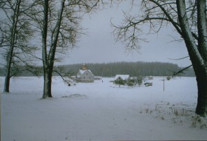 newbmp-2