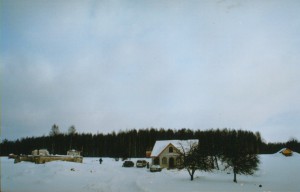 newtif-3