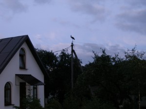 P4160004
