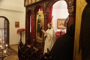 DSC02996