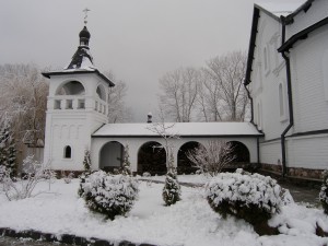 P1010039