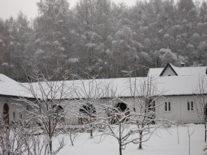 P1010045