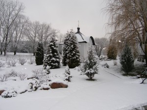 P1010049