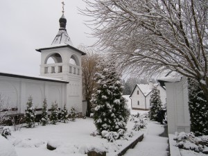 P1010061