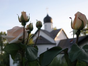P1010503