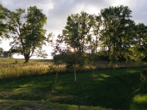 P1010599