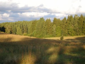 P1010603