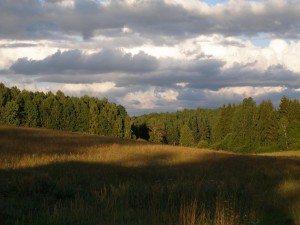 P1010606