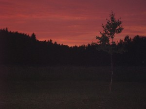 P6070479