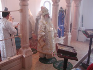 DSCN7527