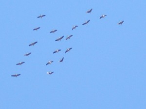 PA080100