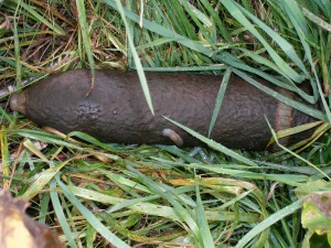 P9040068
