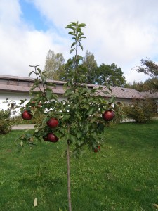 P9250074