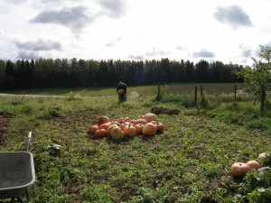 P9250092