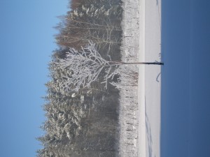 P1010073