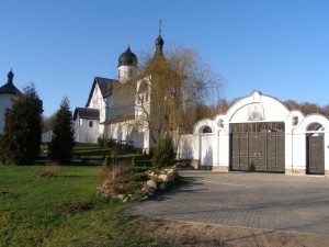 P1010187