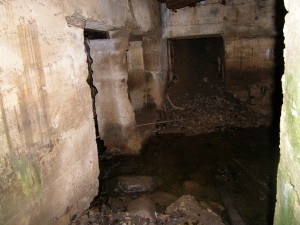 P1160163