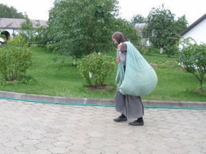 P3310006