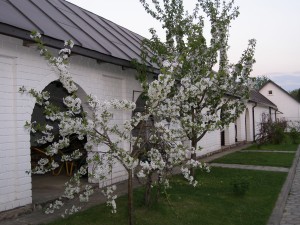 P1220001