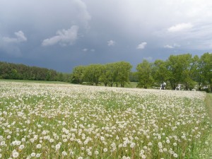 P2060050