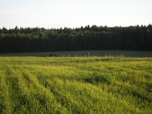 P2260113