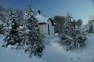 DSC05401