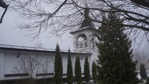 DSC07311